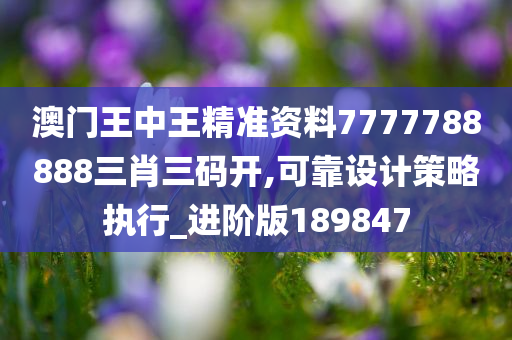 澳门王中王精准资料7777788888三肖三码开,可靠设计策略执行_进阶版189847