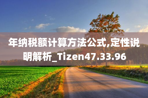 年纳税额计算方法公式,定性说明解析_Tizen47.33.96