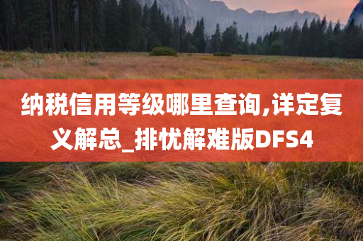 纳税信用等级哪里查询,详定复义解总_排忧解难版DFS4