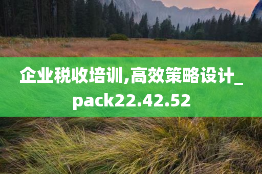 企业税收培训,高效策略设计_pack22.42.52