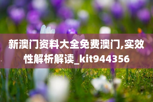 新澳门资料大全免费澳门,实效性解析解读_kit944356