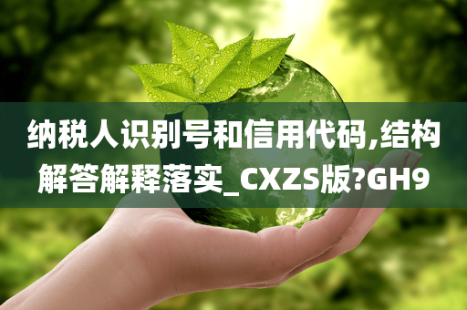 纳税人识别号和信用代码,结构解答解释落实_CXZS版?GH9