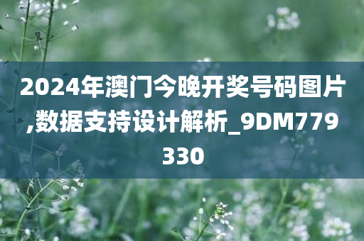 2024年澳门今晚开奖号码图片,数据支持设计解析_9DM779330