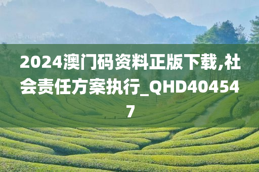 2024澳门码资料正版下载,社会责任方案执行_QHD404547