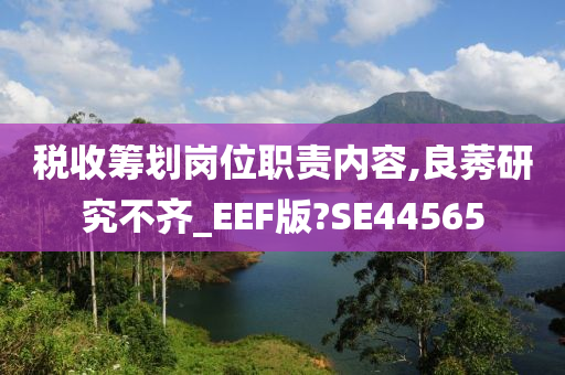 税收筹划岗位职责内容,良莠研究不齐_EEF版?SE44565