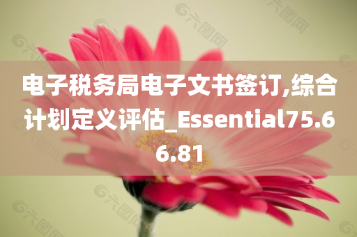 电子税务局电子文书签订,综合计划定义评估_Essential75.66.81