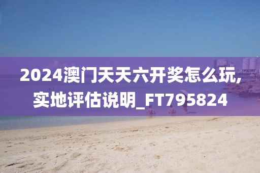 2024澳门天天六开奖怎么玩,实地评估说明_FT795824