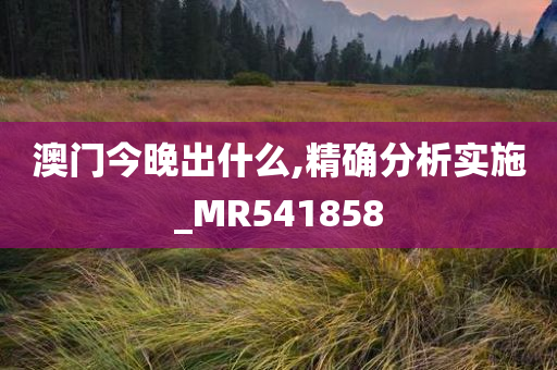 澳门今晚出什么,精确分析实施_MR541858