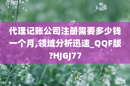 代理记账公司注册需要多少钱一个月,领域分析迅速_QQF版?HJGJ77