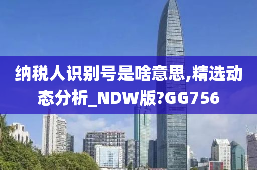 纳税人识别号是啥意思,精选动态分析_NDW版?GG756