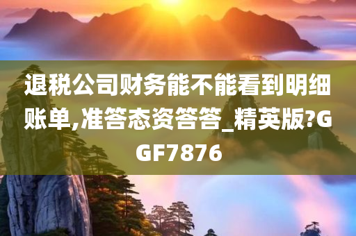 退税公司财务能不能看到明细账单,准答态资答答_精英版?GGF7876