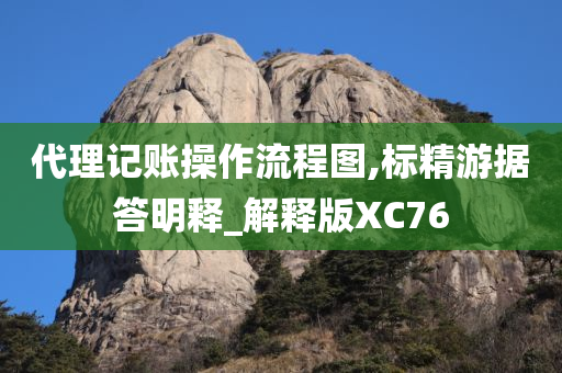 代理记账操作流程图,标精游据答明释_解释版XC76