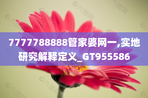 7777788888管家婆网一,实地研究解释定义_GT955586