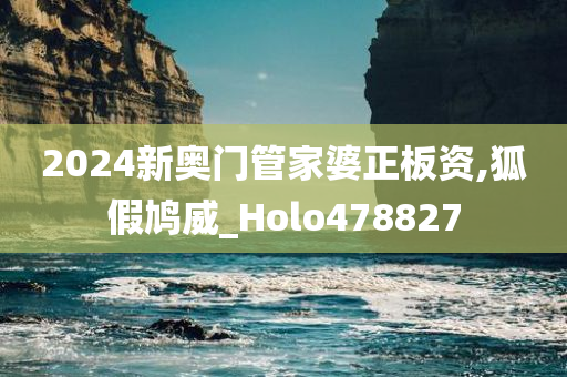 2024新奥门管家婆正板资,狐假鸠威_Holo478827