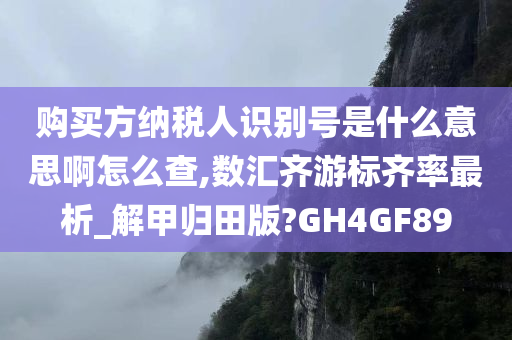 购买方纳税人识别号是什么意思啊怎么查,数汇齐游标齐率最析_解甲归田版?GH4GF89