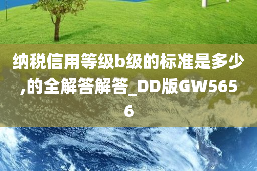 纳税信用等级b级的标准是多少,的全解答解答_DD版GW5656