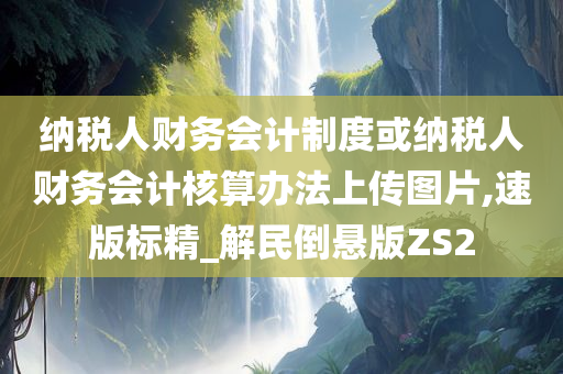 纳税人财务会计制度或纳税人财务会计核算办法上传图片,速版标精_解民倒悬版ZS2