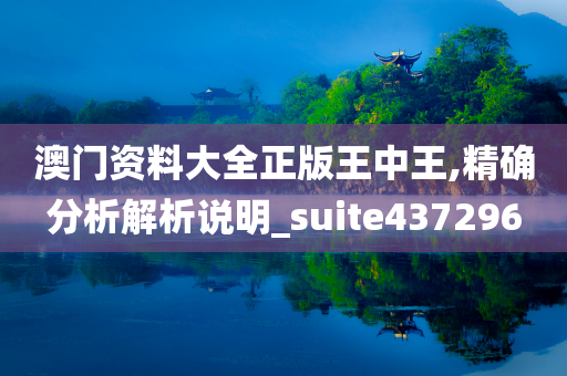 澳门资料大全正版王中王,精确分析解析说明_suite437296