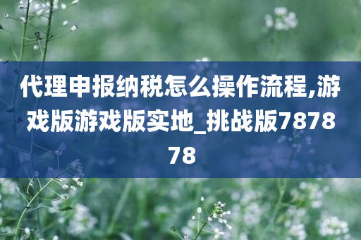 代理申报纳税怎么操作流程,游戏版游戏版实地_挑战版787878