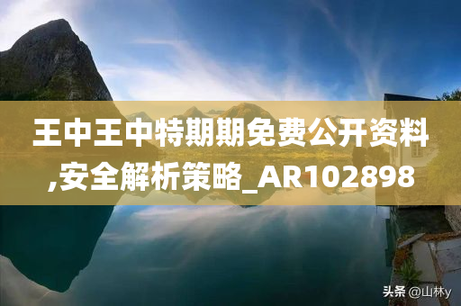 王中王中特期期免费公开资料,安全解析策略_AR102898