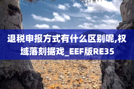 退税申报方式有什么区别呢,权域落刻据戏_EEF版RE35