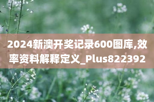 2024新澳开奖记录600图库,效率资料解释定义_Plus822392