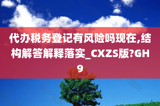 代办税务登记有风险吗现在,结构解答解释落实_CXZS版?GH9