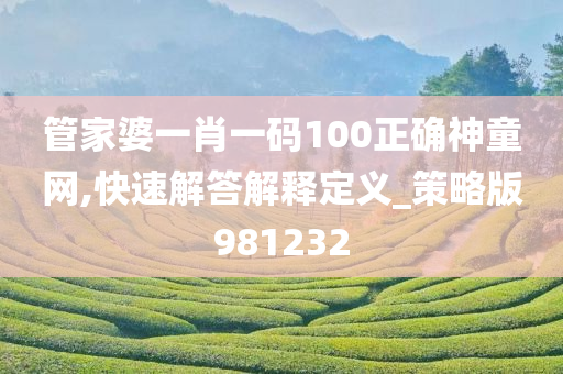 管家婆一肖一码100正确神童网,快速解答解释定义_策略版981232