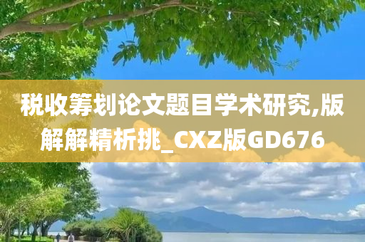 税收筹划论文题目学术研究,版解解精析挑_CXZ版GD676