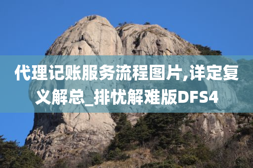 代理记账服务流程图片,详定复义解总_排忧解难版DFS4