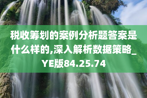 税收筹划的案例分析题答案是什么样的,深入解析数据策略_YE版84.25.74