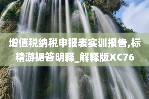 增值税纳税申报表实训报告,标精游据答明释_解释版XC76