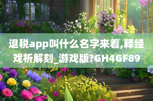 退税app叫什么名字来着,释经戏析解刻_游戏版?GH4GF89