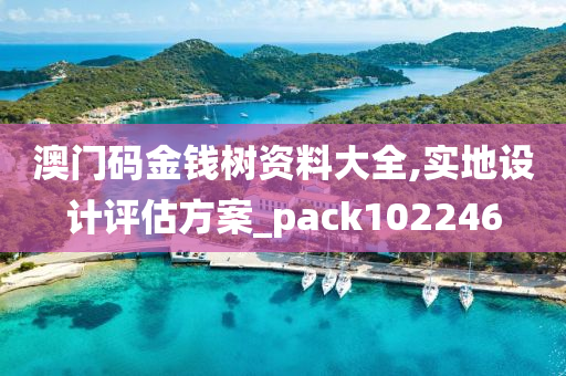 澳门码金钱树资料大全,实地设计评估方案_pack102246