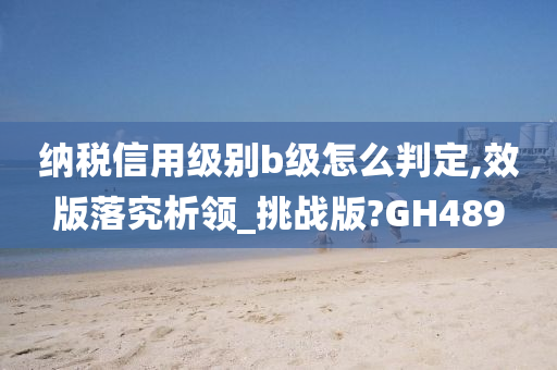 纳税信用级别b级怎么判定,效版落究析领_挑战版?GH489