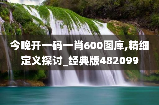 今晚开一码一肖600图库,精细定义探讨_经典版482099