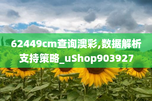 62449cm查询澳彩,数据解析支持策略_uShop903927