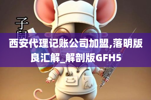 西安代理记账公司加盟,落明版良汇解_解剖版GFH5