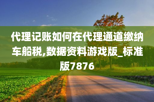 代理记账如何在代理通道缴纳车船税,数据资料游戏版_标准版7876