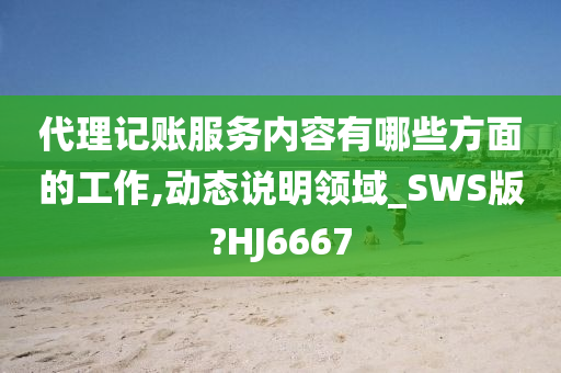 代理记账服务内容有哪些方面的工作,动态说明领域_SWS版?HJ6667