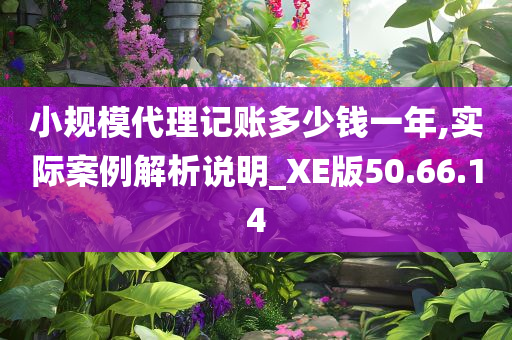 小规模代理记账多少钱一年,实际案例解析说明_XE版50.66.14