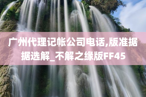 广州代理记帐公司电话,版准据据选解_不解之缘版FF45