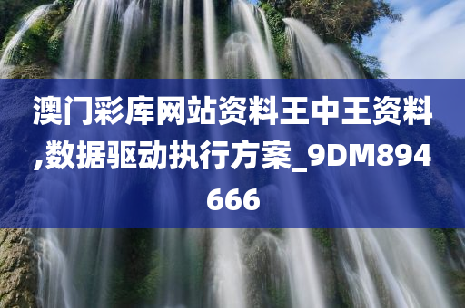 澳门彩库网站资料王中王资料,数据驱动执行方案_9DM894666