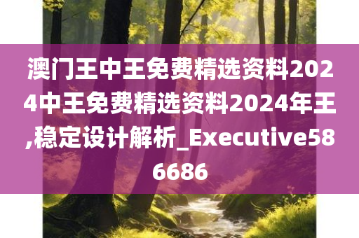 澳门王中王免费精选资料2024中王免费精选资料2024年王,稳定设计解析_Executive586686