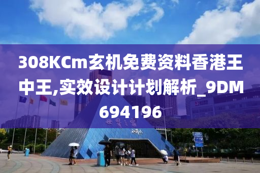 308KCm玄机免费资料香港王中王,实效设计计划解析_9DM694196