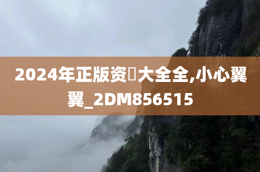 2024年正版资枓大全全,小心翼翼_2DM856515