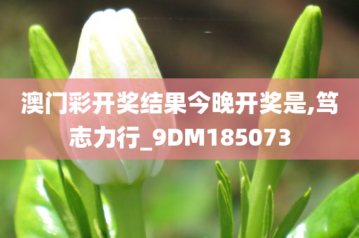 澳门彩开奖结果今晚开奖是,笃志力行_9DM185073