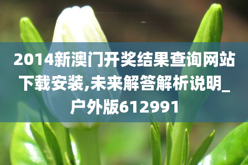 2014新澳门开奖结果查询网站下载安装,未来解答解析说明_户外版612991