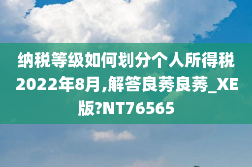 纳税等级如何划分个人所得税2022年8月,解答良莠良莠_XE版?NT76565