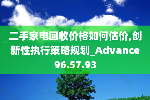 二手家电回收价格如何估价,创新性执行策略规划_Advance96.57.93